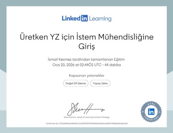 İstem Mühendisliği