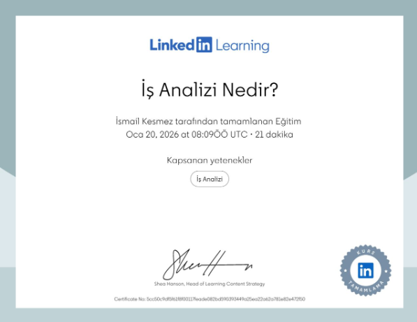 İş Analizi Nedir